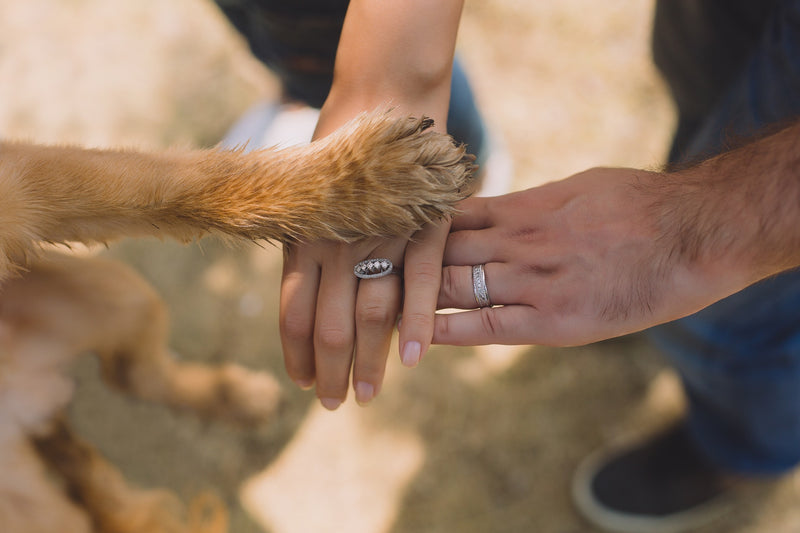 Clipping Dogs Toenails