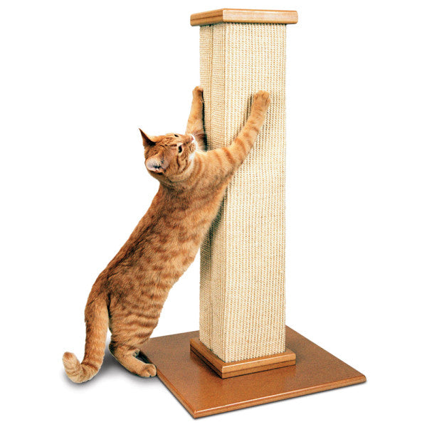 cat-scratcher