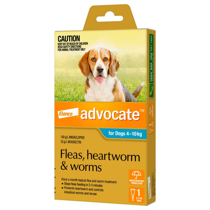 Advocate Dog Medium Blue