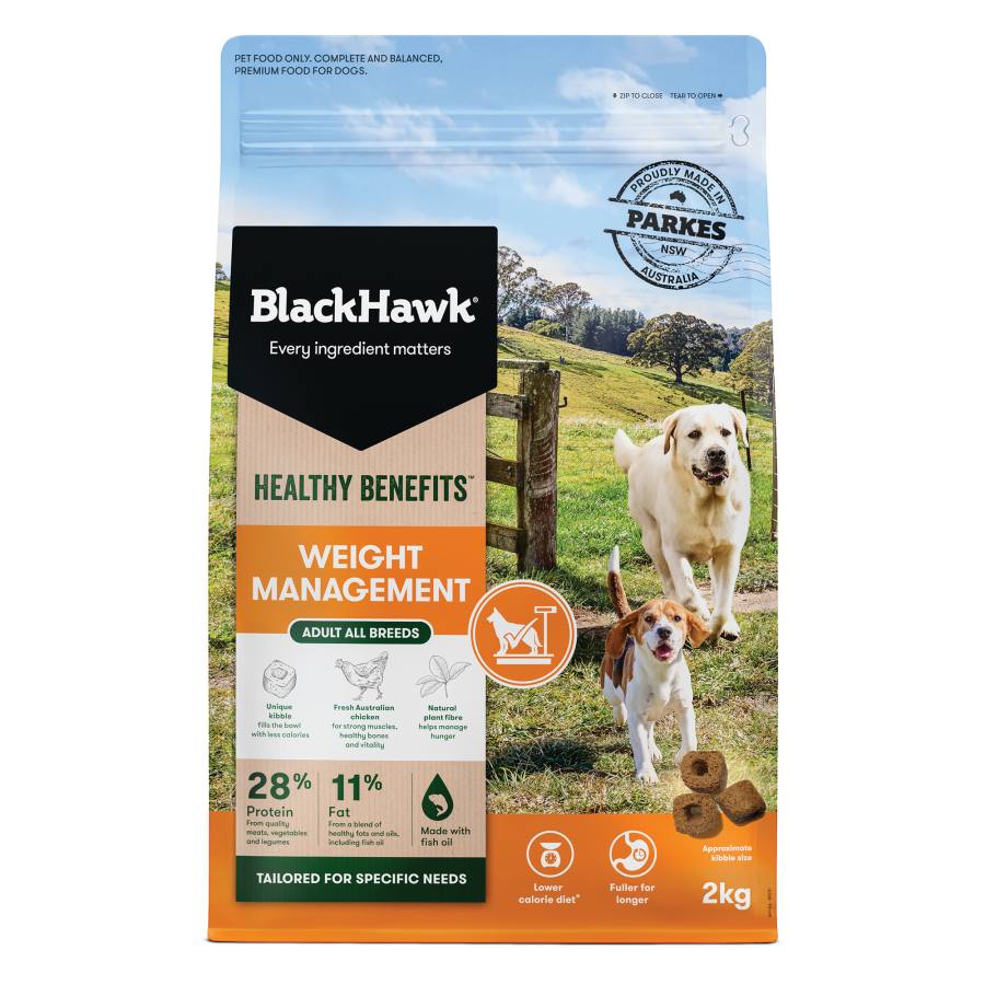 Black Hawk Dog Healthy Benefits Weight Management