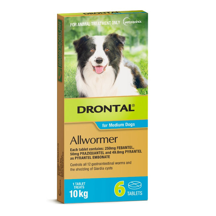 Drontal Allwormer Tablets for Medium Dogs