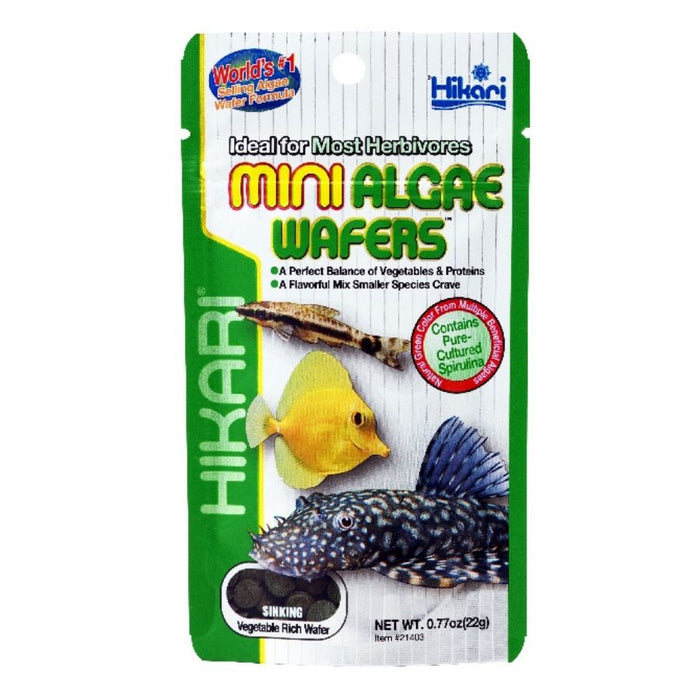 Hikari Tropical Mini Algae Wafers 22g