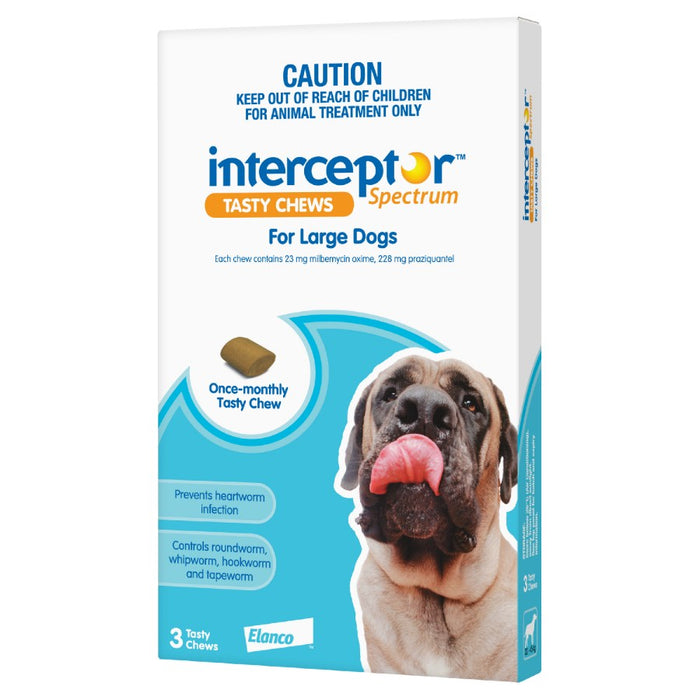 Interceptor Spectrum Chews Large Blue