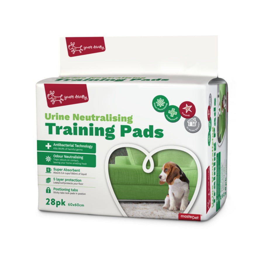 Essentials puppy hotsell training pads