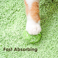 Zodiac Fruity Tofu Cat Litter Green Tea-4