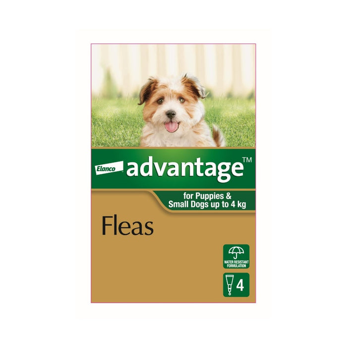 Advantage Dog Small Green