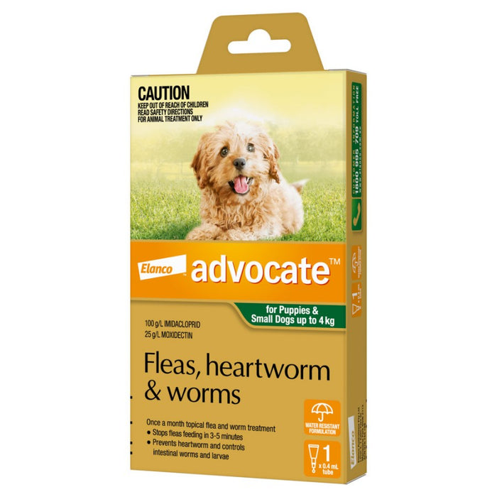 Advocate Dog Small Green