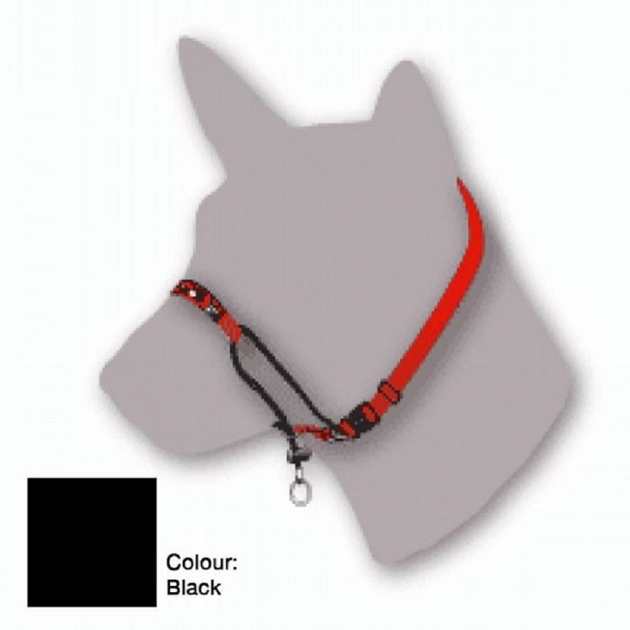 Dog training sale halter