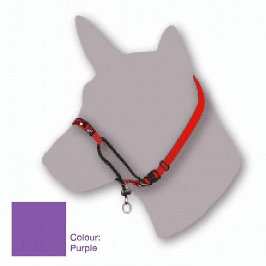 Black dog head halter hotsell