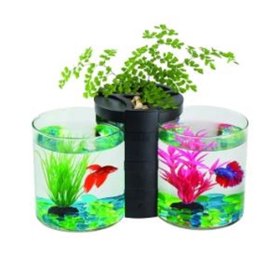 Betta 2024 fish planter