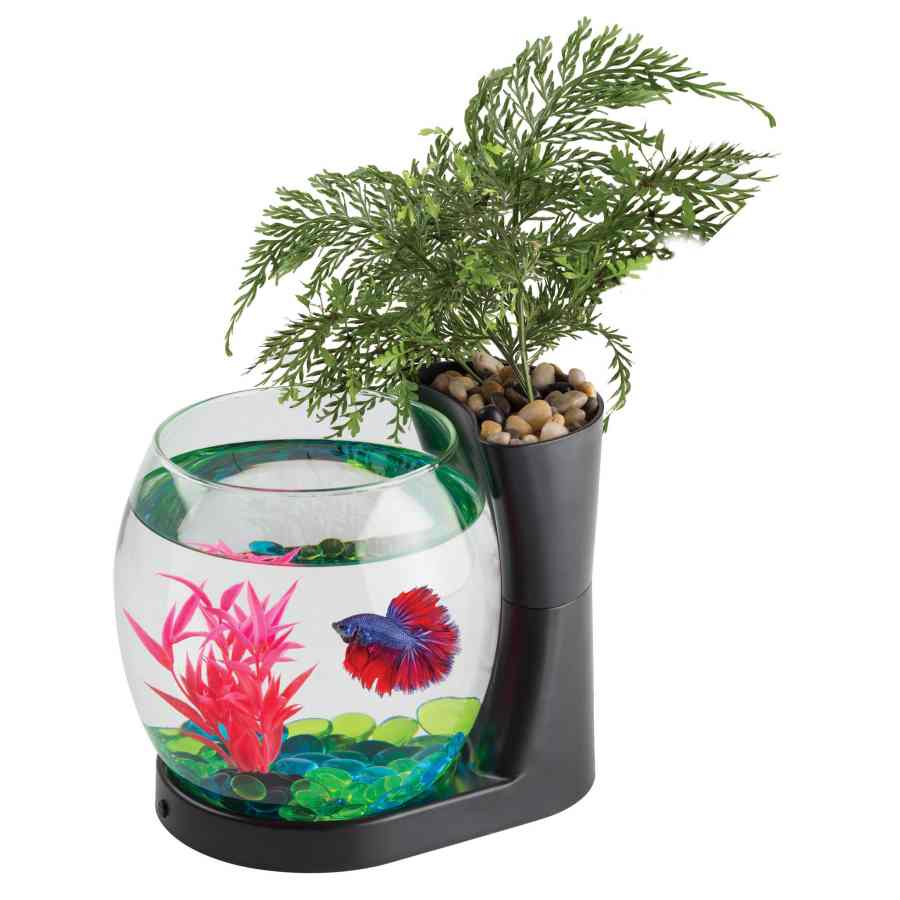 Betta fish outlet planter