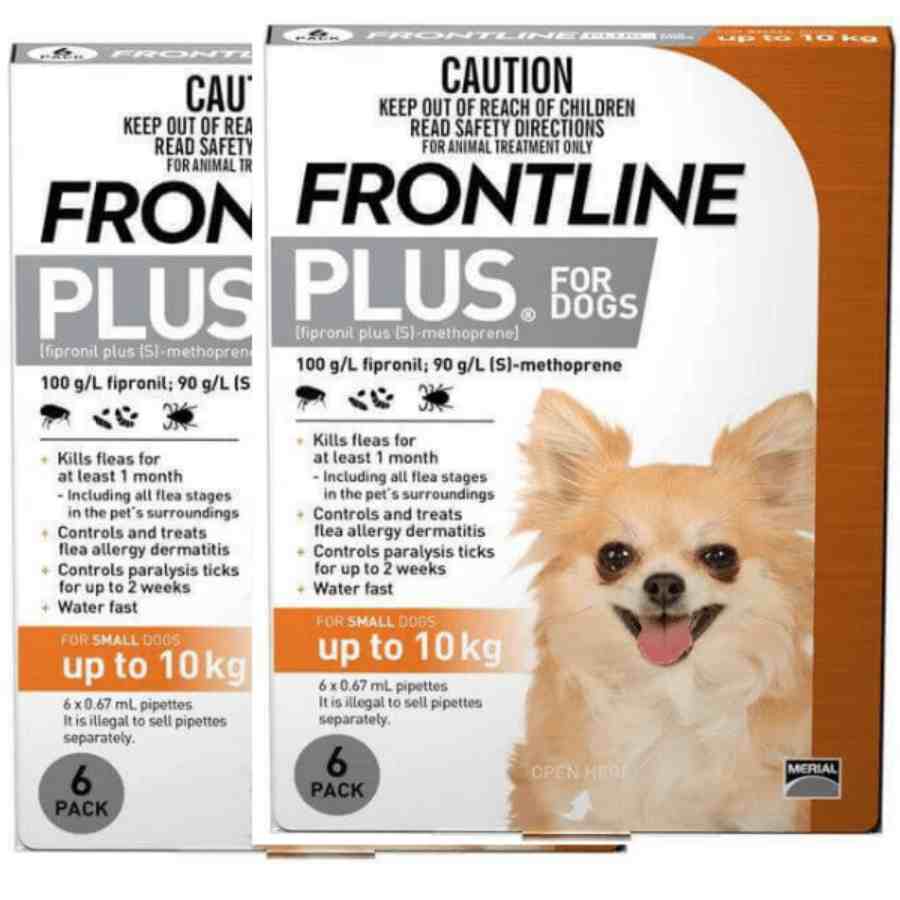 Frontline plus small dog 6 pack best clearance price