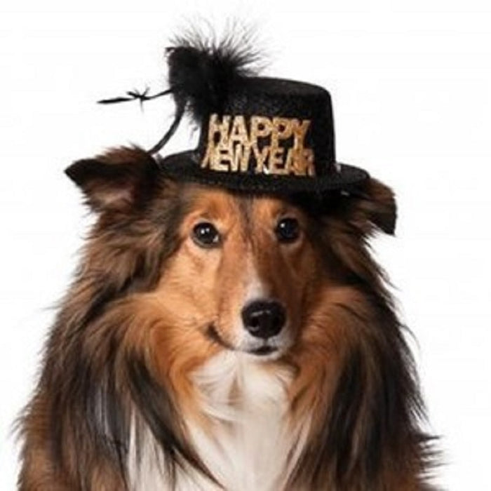 Happy New Year Pet Hat