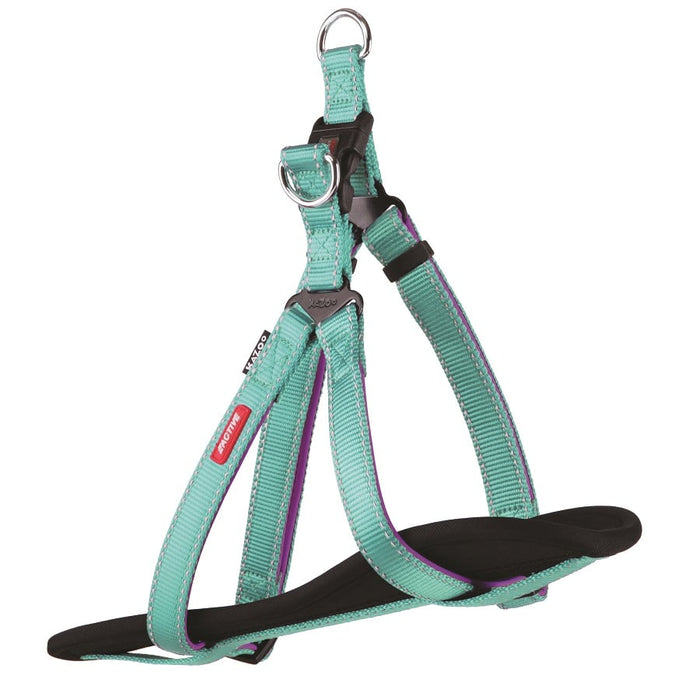 Kazoo Active DD Nylon Walking Harness Aqua Purple