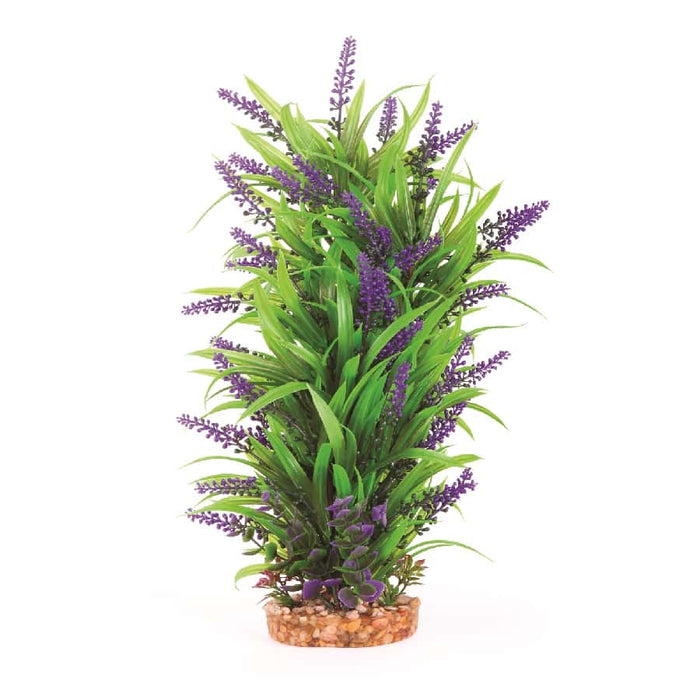 Kazoo Combination Plant Thin Leaf With Purple Flower
