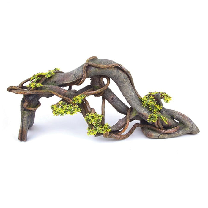 Kazoo Driftwood With Vine and Plants