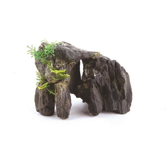 Kazoo Granite Rock With Plant