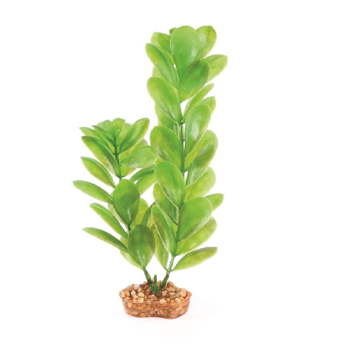 Kazoo Plastic Plant Large Leaf Green