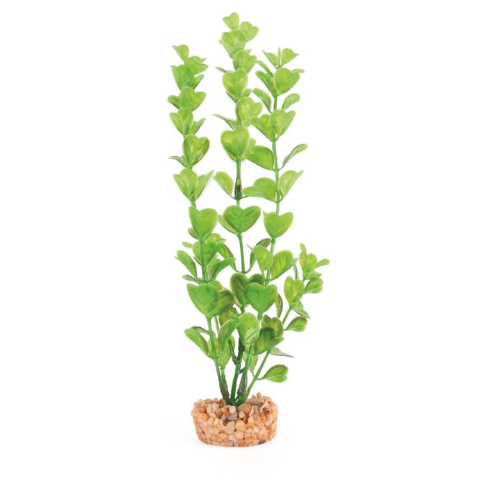 Kazoo Plastic Plant Medium Leaf Green