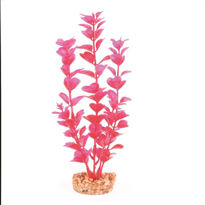 Kazoo Plastic Plant Medium Leaf Pink Purple