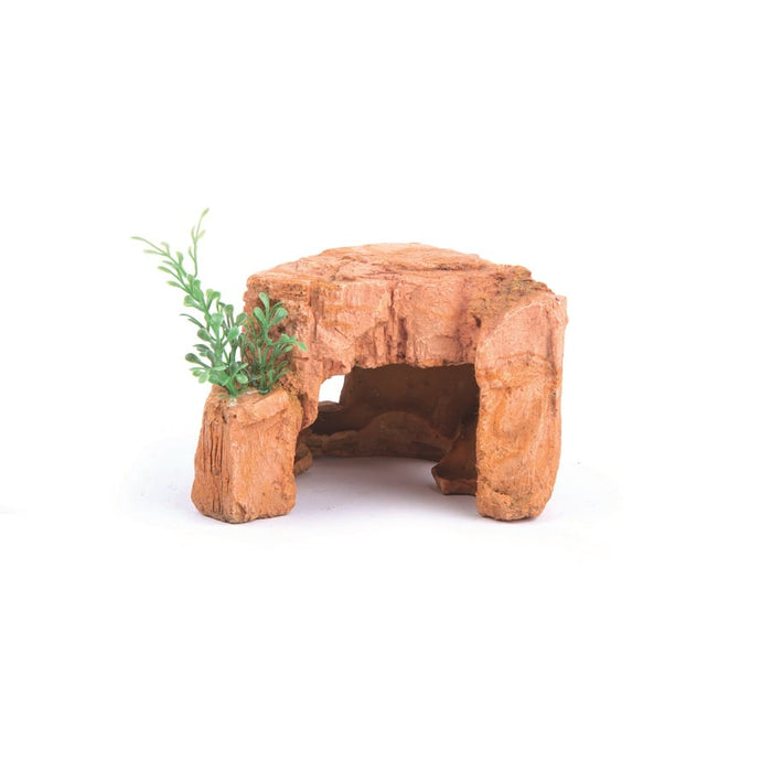 Kazoo Sandstone Rock With Plant