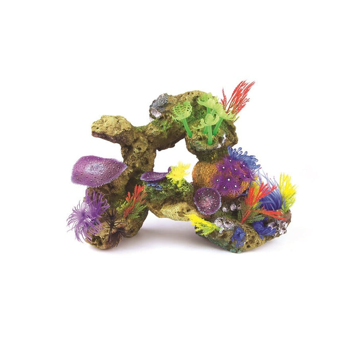 Kazoo Soft Coral With Rock and Plants