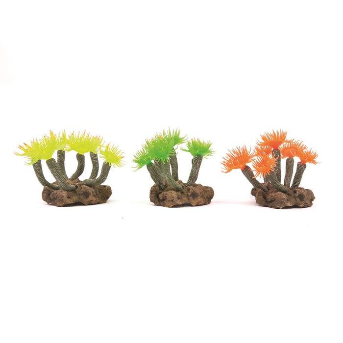Kazoo Soft Tree Coral