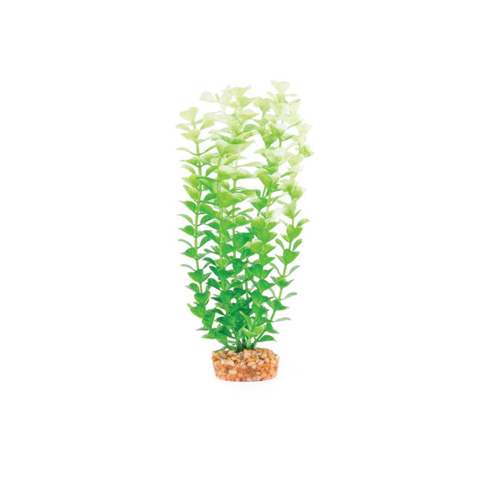 Kazoo Plastic Plant Small Leaf Purple White