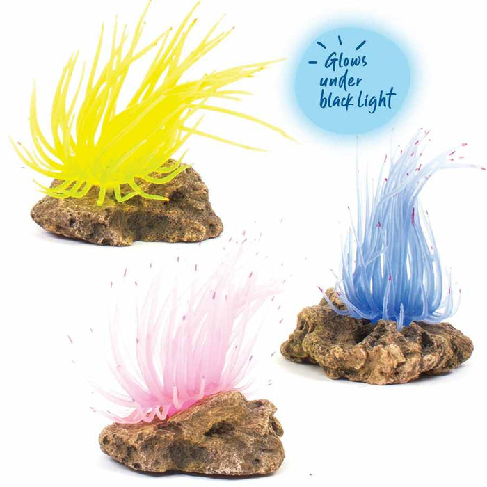 Kazoo Soft Grass Coral With Rock