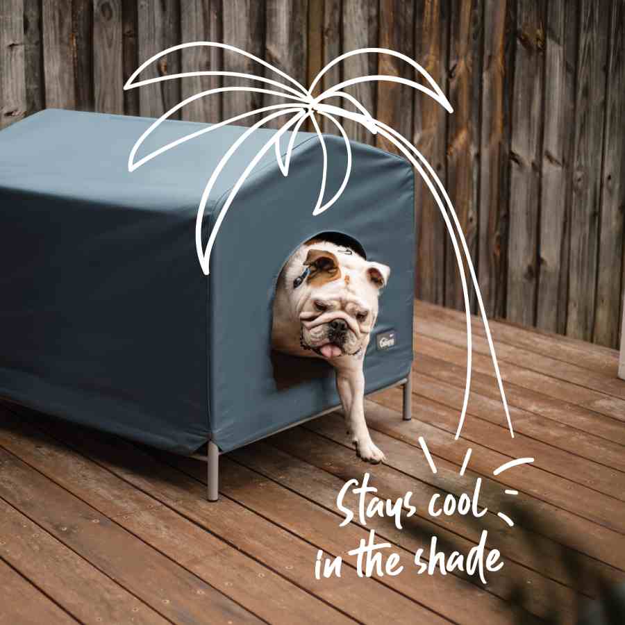 Canvas dog kennel kmart sale