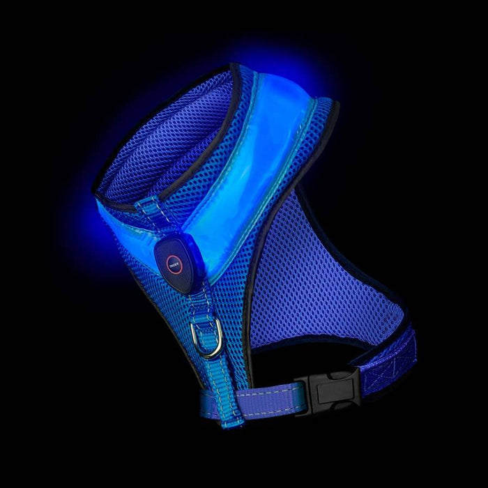 Loomo LED Mesh Harness Blue