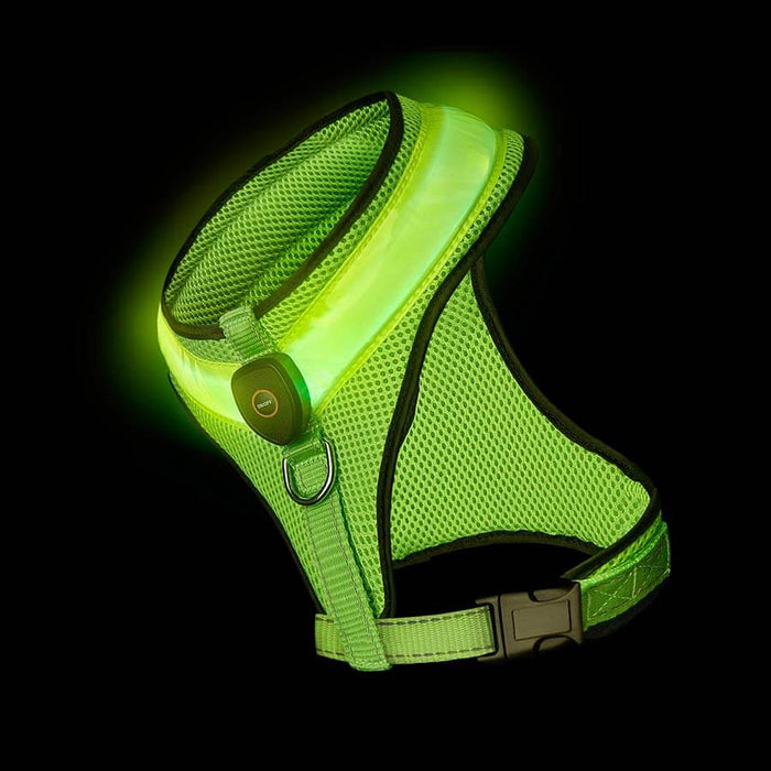 Loomo LED Mesh Harness Green