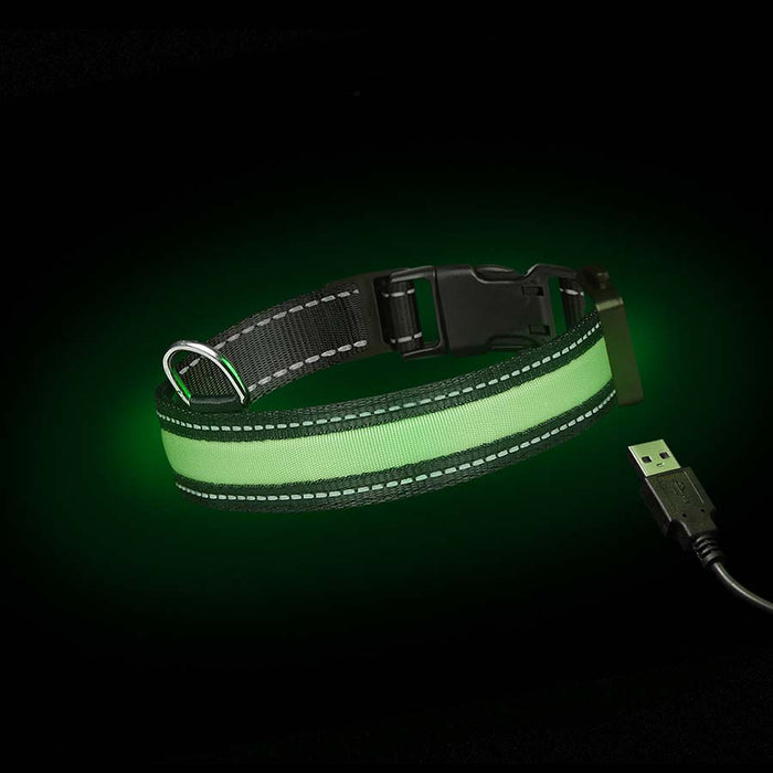 Loomo Moonshine LED Dog Collar Green