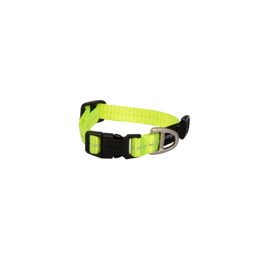 Day glow hotsell dog collars