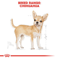 Royal Canin Chihuahua Adult Wet Dog Food Pouches