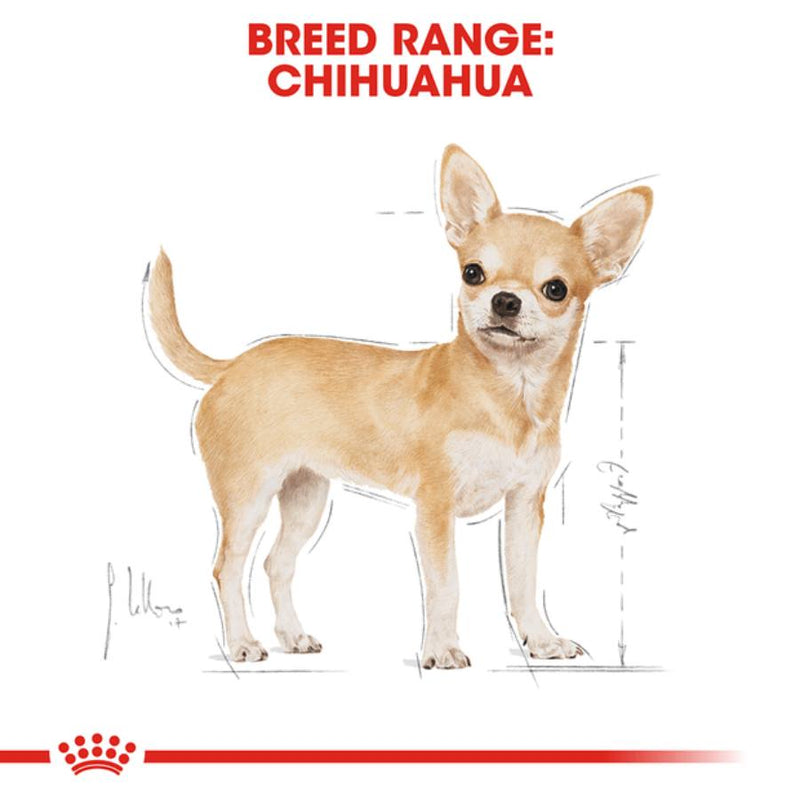 Royal Canin Chihuahua Adult Wet Dog Food Pouches