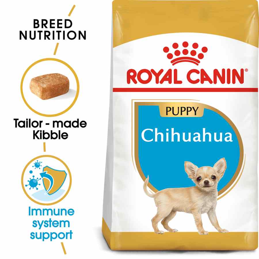 Chihuahua shop puppy supplies