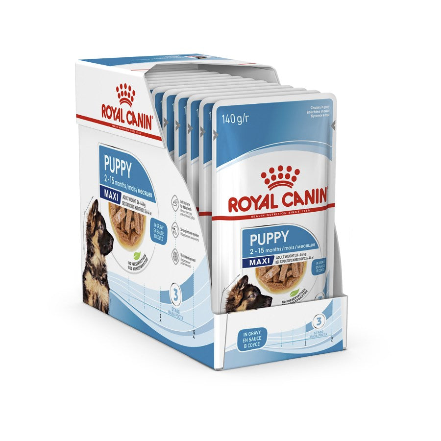 Royal canin maxi 2024 puppy wet food