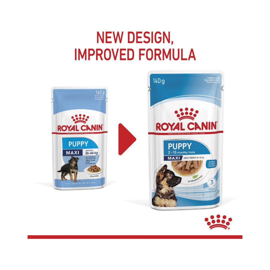 Royal Canin Maxi Puppy Wet Dog Food 10 X 140g Pet Supplies Empire