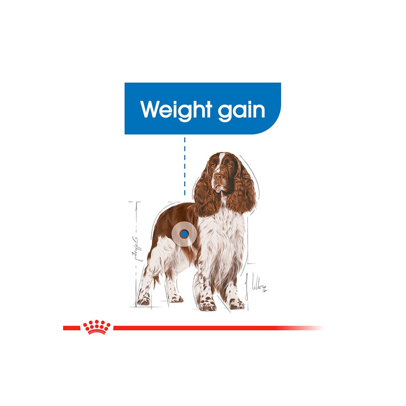 Royal Canin Medium Light Weight Care Adult Dry Dog Food