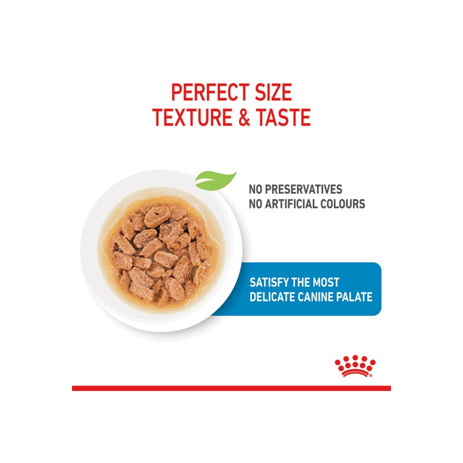 Royal Canin Mini Puppy Wet Dog Food 12 X 85g Pet Supplies Empire