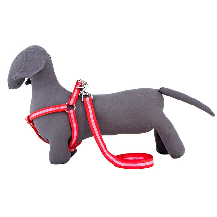 Rufus And Coco Bronte Harness Red