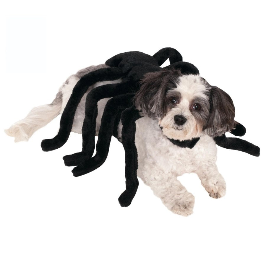 Chihuahua on sale spider costume