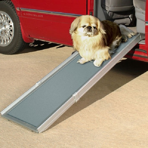 Telescoping store pet ramp