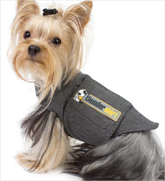 Thundershirt harness 2024