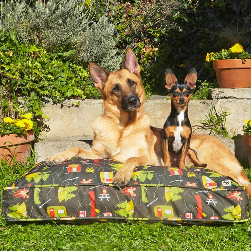 Outdoor dog beds