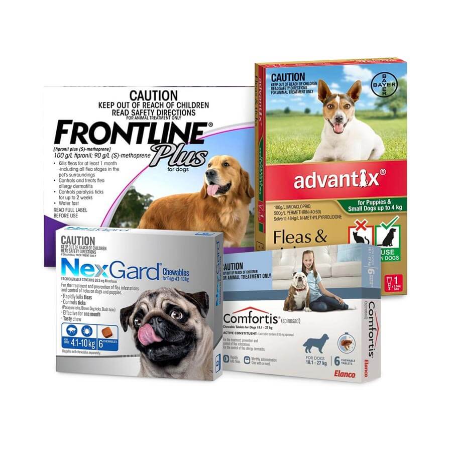 Dog Flea & Tick