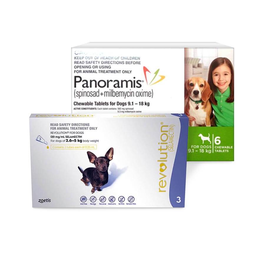 Dog Heartworm