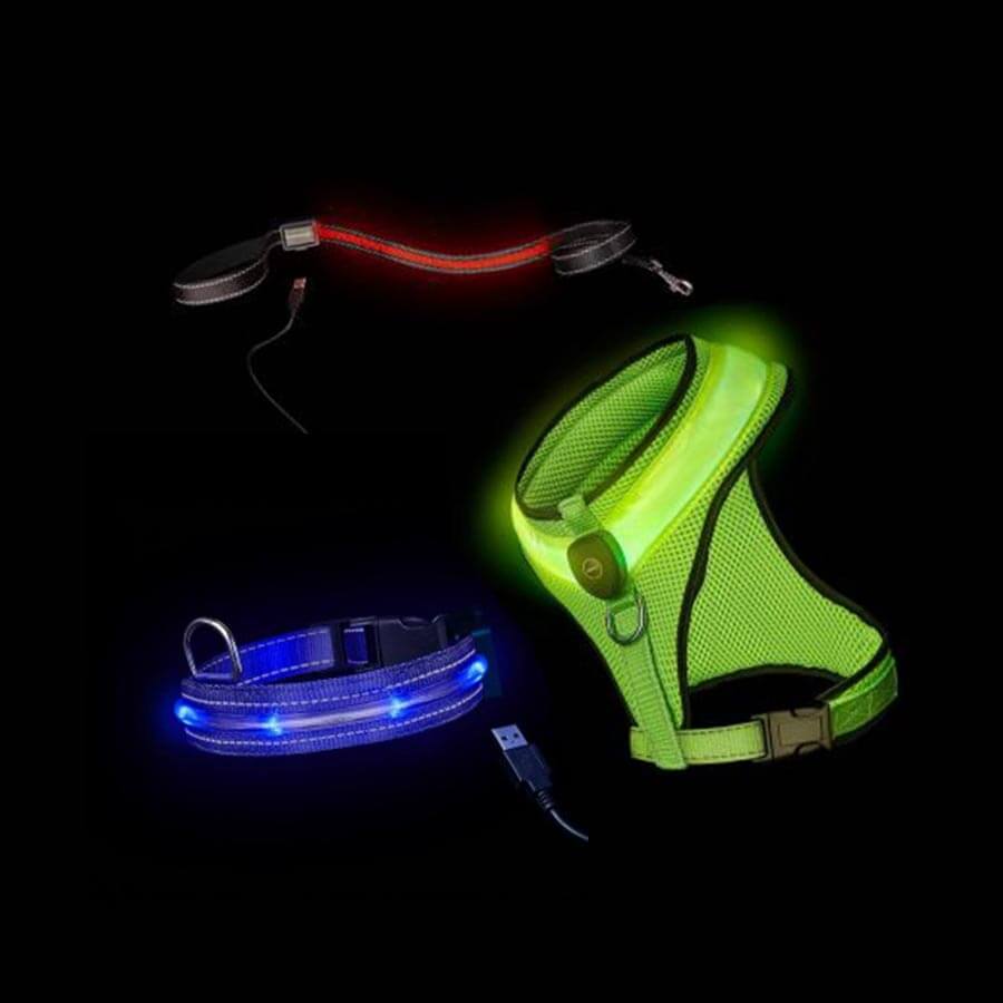Dog Supplies LED