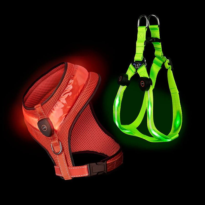 Loomo Harnesses Set